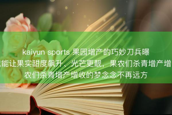 kaiyun sports 果园增产的巧妙刀兵曝光！虾红素叶面肥竟能让果实甜度飙升、光芒更靓，果农们杀青增产增收的梦念念不再远方