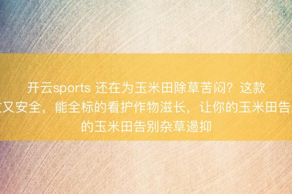 开云sports 还在为玉米田除草苦闷？这款新选用高效又安全，能全标的看护作物滋长，让你的玉米田告别杂草遏抑