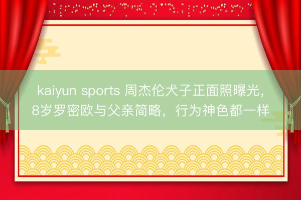 kaiyun sports 周杰伦犬子正面照曝光，8岁罗密欧与父亲简略，行为神色都一样