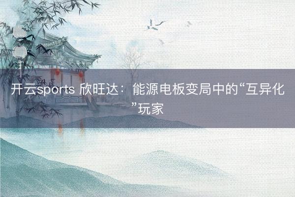开云sports 欣旺达:能源电板变局中的“互异化”玩家