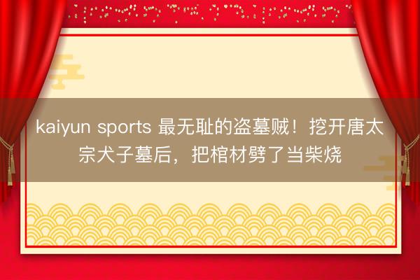 kaiyun sports 最无耻的盗墓贼!挖开唐太宗犬子墓后,把棺材劈了当柴烧