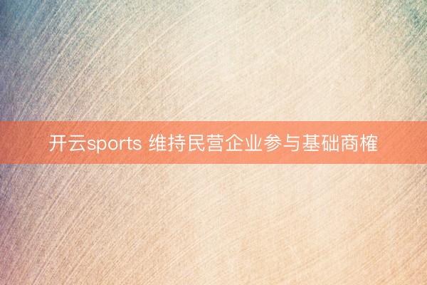 开云sports 维持民营企业参与基础商榷